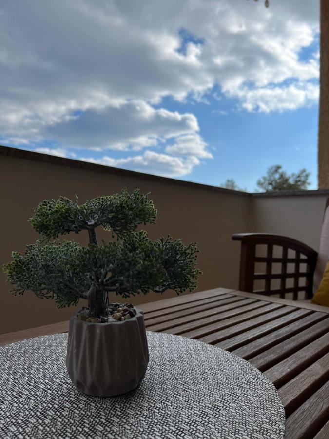 Apartmani Pernjak Mandre Kültér fotó