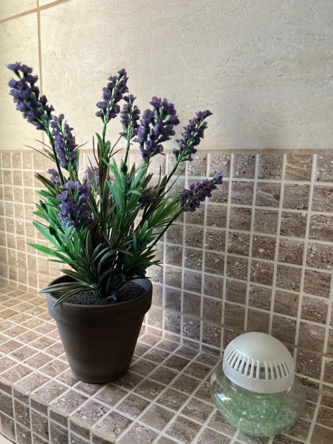Apartmani Pernjak Mandre Kültér fotó